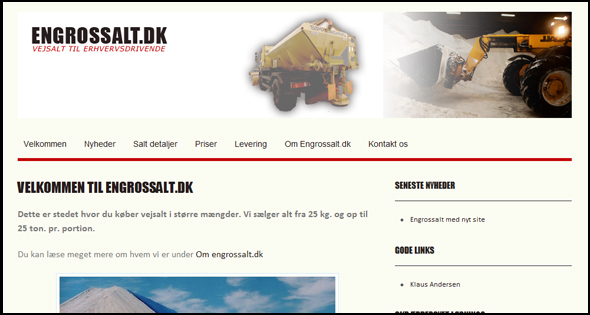Billede af engrossalt.dks forside